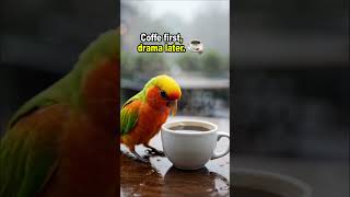 A Tiny Bird Enjoying His Coffee Break ☕ #burunglucu #parrot #nooverthinking