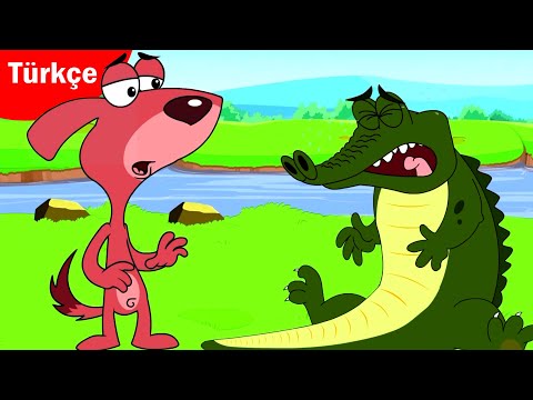 TA TA TA TAAAM |  timsah 🐊 Yeni ⭐ Derleme | Çocuk Çizgi Filmleri | HeyToonz - Türkçe ÇizgiFilm