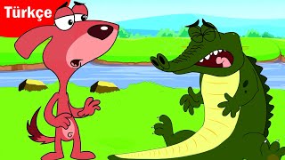 TA TA TA TAAAM | timsah 🐊 Yeni ⭐ Derleme | Çocuk Çizgi Filmleri | HeyToonz - Türkçe ÇizgiFilm