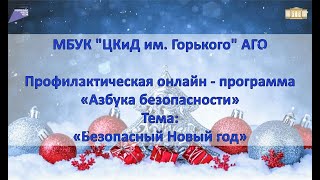 Профилактическая онлайн - программа «Азбука безопасности». Тема: «Безопасный Новый год»