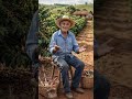 #reflexão #sabedoriadodia #conselho #vidanaroça #sabios #mensagem #agro #fazenda
