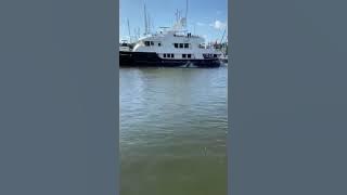 M/Y Safira in Dania Cut-Off Canal on Nov. 23, 2019. Video by Erjo Junatas