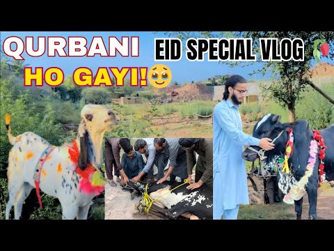 Eid ud Duhha Mubarik 2026💖 | Bell or Bakrya ki qurbani ki👍 |🐂🇵🇰 #viralvideo #2026 #qurbani #pakistan