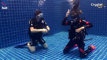 How to Swim Over Sensitive Bottom 🤿 PADI IDC Skills Dive