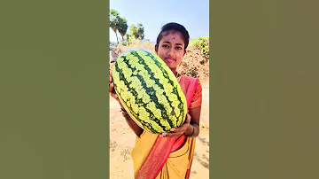 Watermelon Juice Fruit Juice Making #shorts