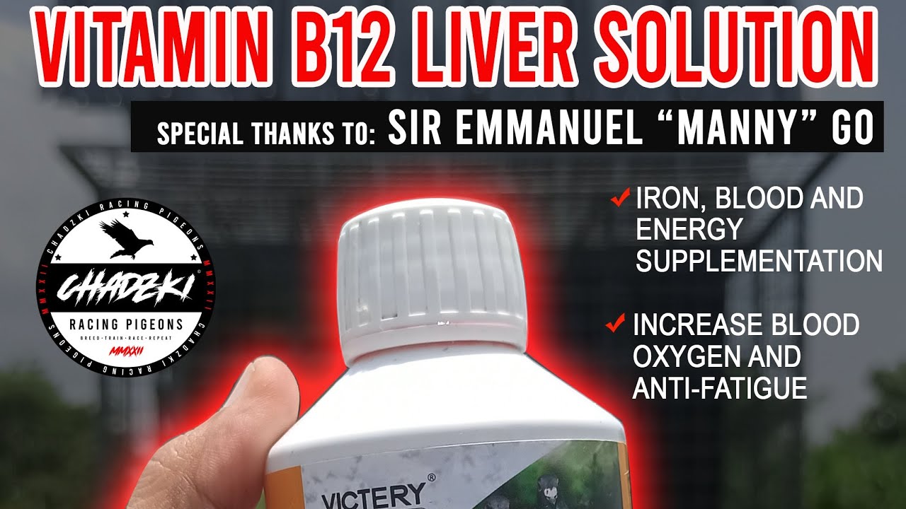 VITAMIN B12 FOR RACING PIGEONS BY VICTERY pigeon kalapati 