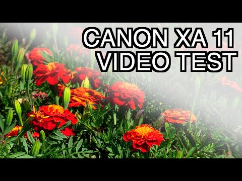 CANON XA11 Video test