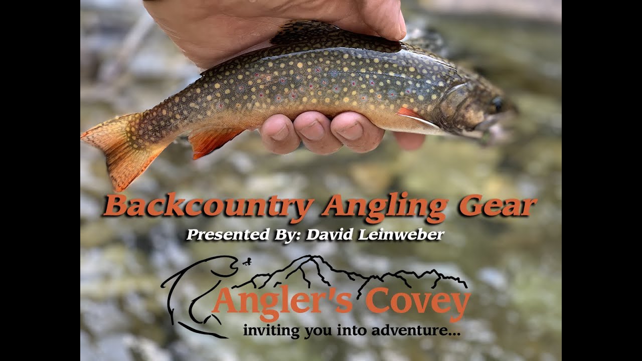 Backcountry Fly Fishing Near Colorado Springs Sale head.hesge.ch