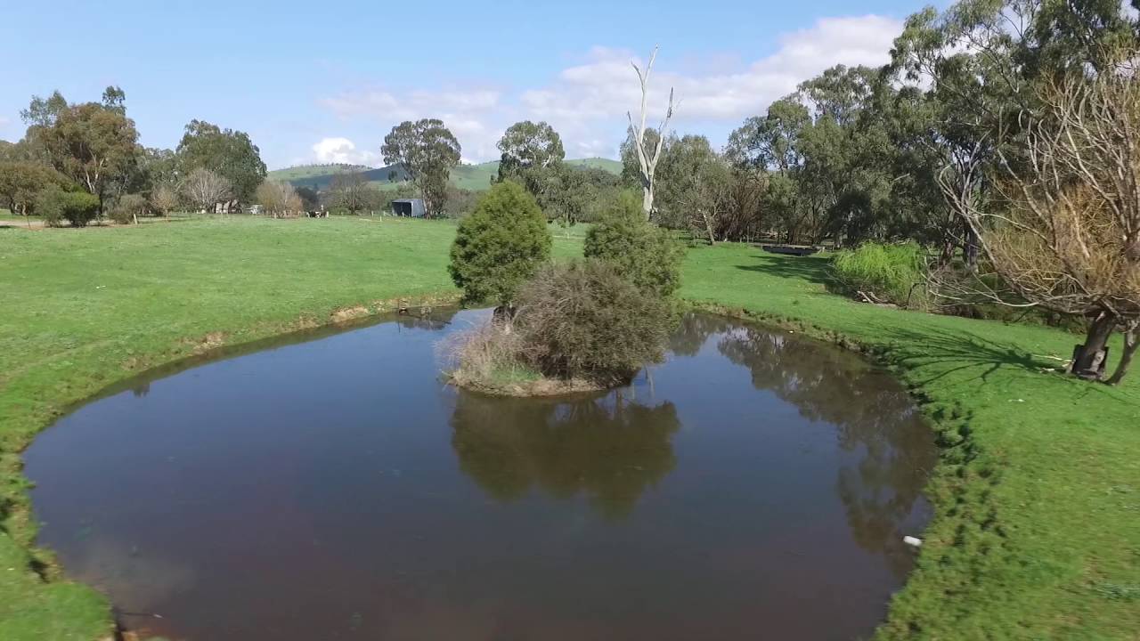 1, 66 Frog Ponds Road Yea YouTube