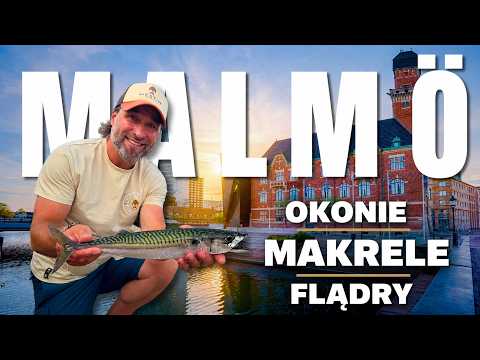 WE WENT PERCH, MACKEREL, AND FLOUNDER FISHING IN MALMÖ