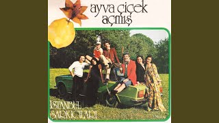 Ayva Çiçek Açmış