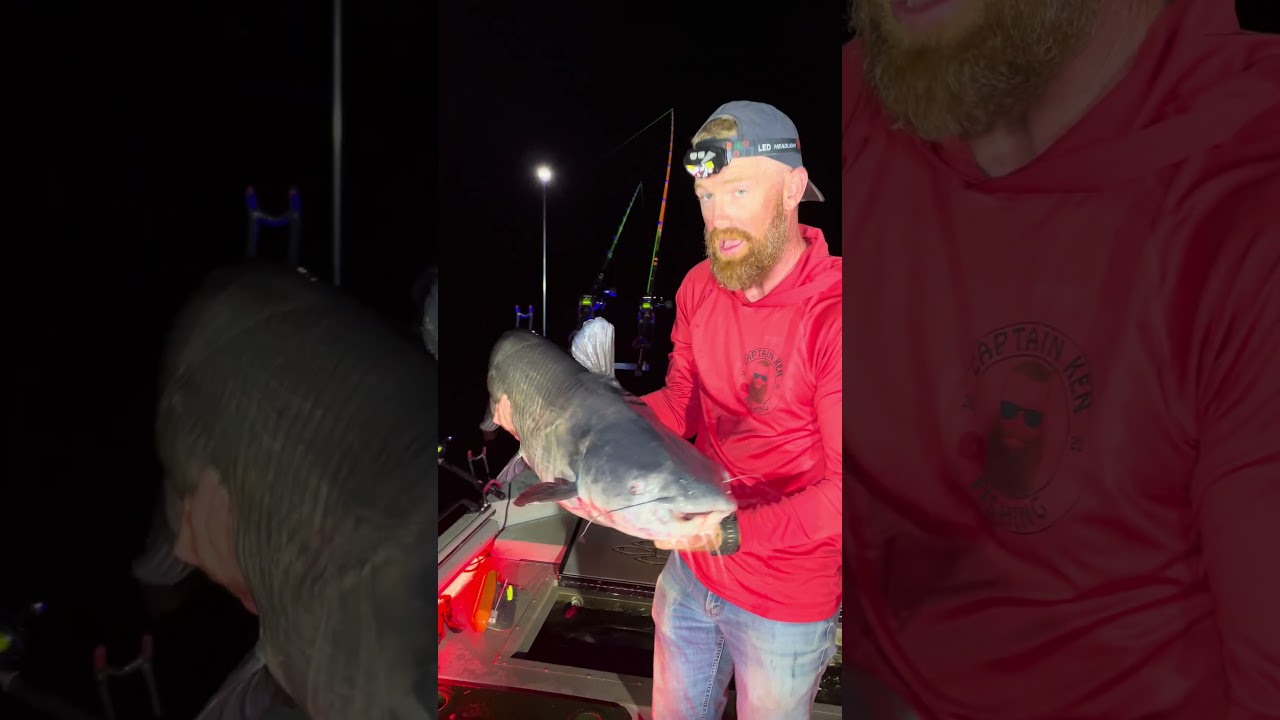 #CULLING 32 lb’ers! We Threw This Fish Back During a Tournament! #fishing #bluecat