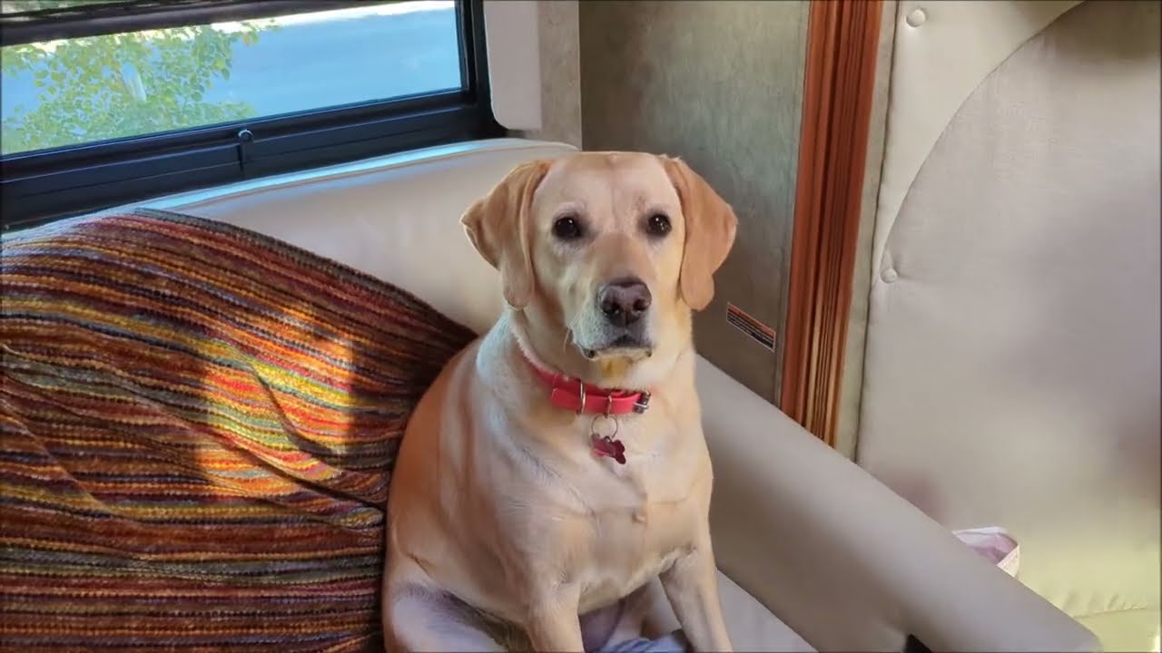 Staying at a Brand New RV Resort in Ehrenberg Arizona