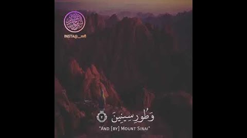 والتين والزيتون - تلاوة رائعة
