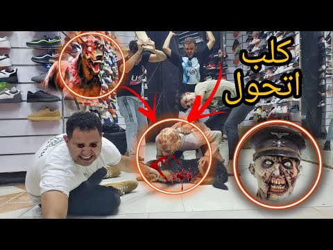 الزومبى هجم علينا وعض كلب جوا المحل اتحبسنا جوا المكان والكلب اتحول لزومبى
