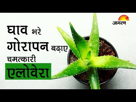 वीडियो: घावों को जल्दी ठीक करने के 4 तरीके (आसान, प्राकृतिक वस्तुओं का उपयोग करके)