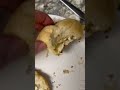 Homemade Biscuits..Jelly or Honey