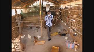 Mon Film Togo Volaille