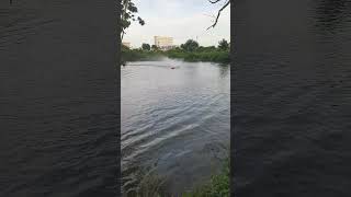 RC Việt Nam 🇻🇳...Trà Vinh... 3.11.25...#rcboat #rc #racing #miềntây