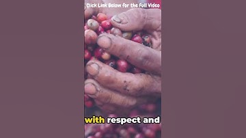 Gentle Cherry Picking 101: Sweet vs Tart Varieties | Cherry Harvesting Like a Pro Tips & Techniques