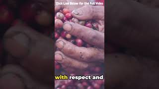 Gentle Cherry Picking 101: Sweet vs Tart Varieties | Cherry Harvesting Like a Pro Tips & Techniques screenshot 5