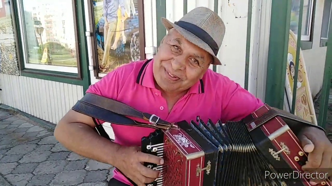 Играй Гармонь! Бродячий Гармонист! Песни под Гармошку! Прекрасное ...