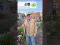 Giving Tuesday! Attitude of Gratitude Campaign - Judi