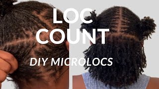 DIY MICROLOC COUNT| Three week Quick Reveal | How many locs DO I Have?