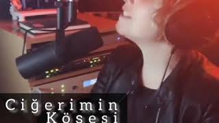 Ciğerimin Köşesi: Mustafa ÖZTEPE/ Ses: Zeliha ALEMDAR Resimi
