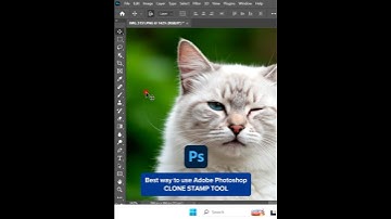 How to use Photoshop Clone Stamp Tool - Best Photoshop Tips 2025