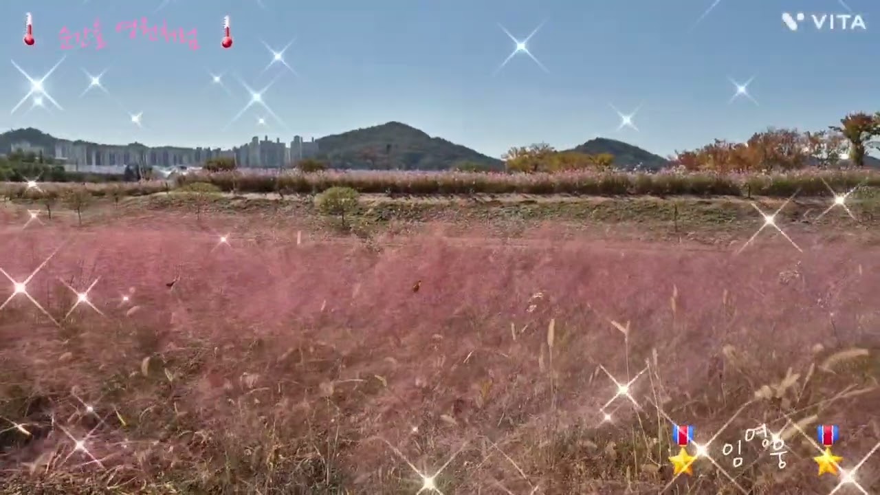 ⚡️순간을 영원처럼 🎖임영웅 🦋시흥갯골생태공원 