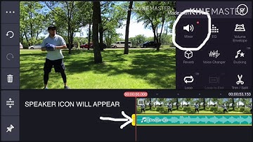 Kinemaster - lower down the volume of background music