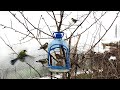 An Interesting Idea How to Make Bird Feeder from a Plastic Bottle DIY