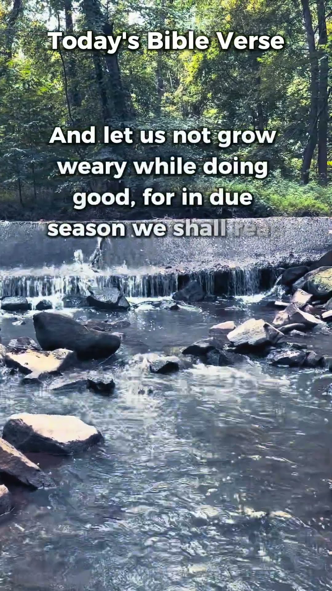  bible verse of the day galatians 6 9 let s keep doing good youtube