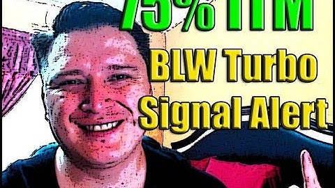 BLW Turbo Signal Alert-75% ITMMM
