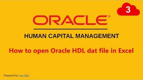 3. How to open Oracle HDL  dat file in Excel