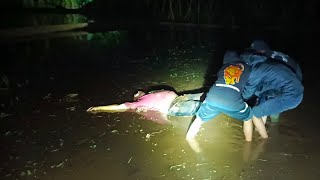 Live Misteri‼️Pencarian Youtuber Hilang, Tim Malah Baku Hantam Kerasukan