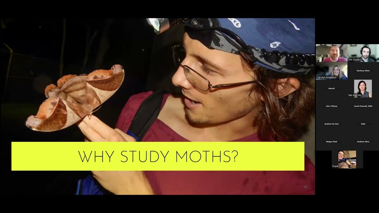 Mothbox with Andy Quitmeyer - Open Automation Club November 2024