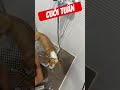 Ướt như chuột lột #dautuchungkhoan