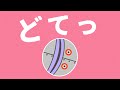 アンパンマン どてっ PART4【知育】【絵本】