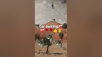 cat 🐈 dancing #funkopop #funko #remix #shortvideo #music #bollywoodmoviesong #funny