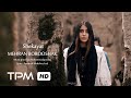 مهران بروشک موزیک ویدیو شکایت Mehran Borooshak Shekayat Music Video مهران بروشک موزیک ویدیو شکایت Mehran Borooshak Shekayat Music Video