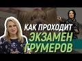 Аттестация грумеров УЦ СПЗ