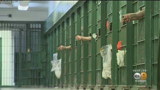 Plans to relieve overcrowding inside jails by setting some low-level
offenders free is concerning people in the community.