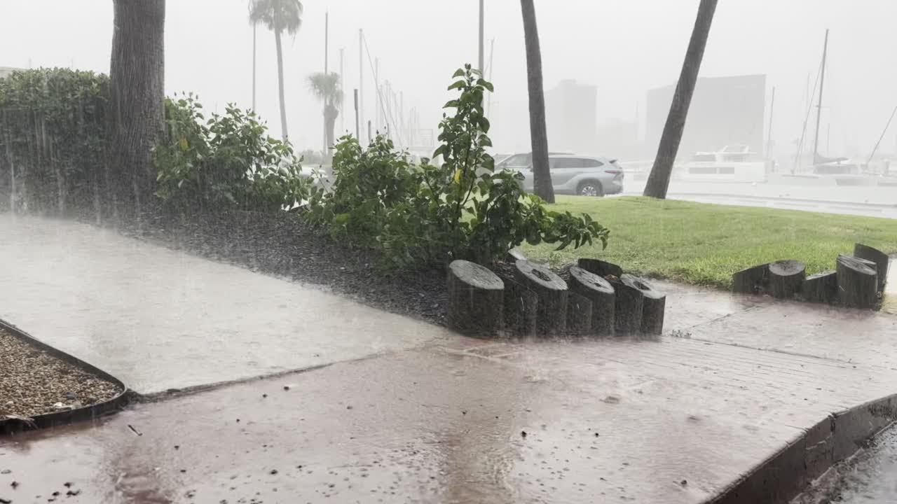2:51 of heavy rain, wind from Tropical Storm Harold in Texas - YouTube