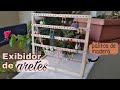 Como hacer un exibidor para aretes! | Fácil y con reciclaje - Diy Cute