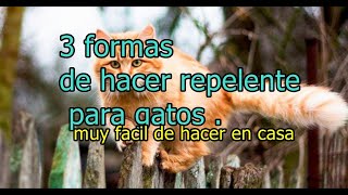 3 REPELENTES PARA GATOS FÁCILES DE HACER EN CASA¡¡ muy efectivos