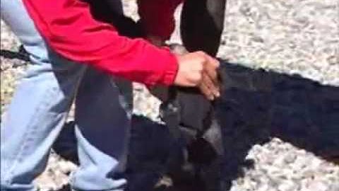 Easyboot Bare Fitting