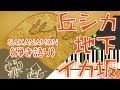 歌詞付き!  みんなのうた『丘シカ地下イカ坂』/SAKANAMON【ピアノ弾き語り(伴奏)】