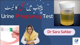 Urine Pregnancy Test | پیشاب میں حمل کا ٹیسٹ | In Urdu | Hindi | Dr Sara Safdar